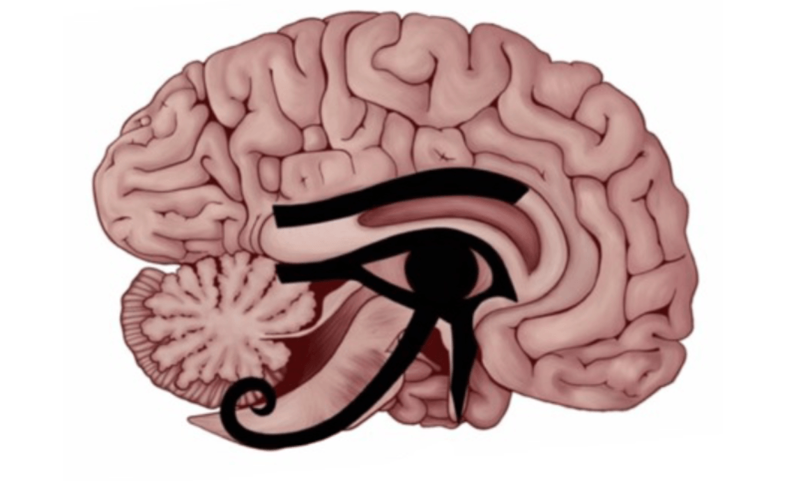 shifting-vibrations™
